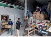 Pisang Cavendis sudah ada Pasarnya Petani Lebih Tertarik Menanam