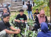 Ketua Pemuda Tani Luwu Gelar Sambung Pucuk Alpokat
