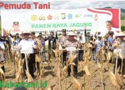 Kapolri Dan Mentan Panen Raya Jagung Di Bone Sulsel