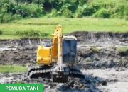 Sulsel Target Cetak Sawah 583 Hektare