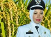 Kepala Desa Jampu Gandeng BUMDes Budidaya Pertanian Padi