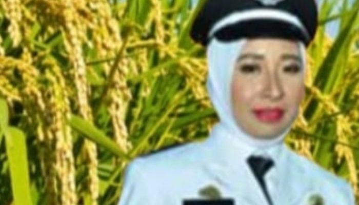 Kepala Desa Jampu Gandeng BUMDes Budidaya Pertanian Padi